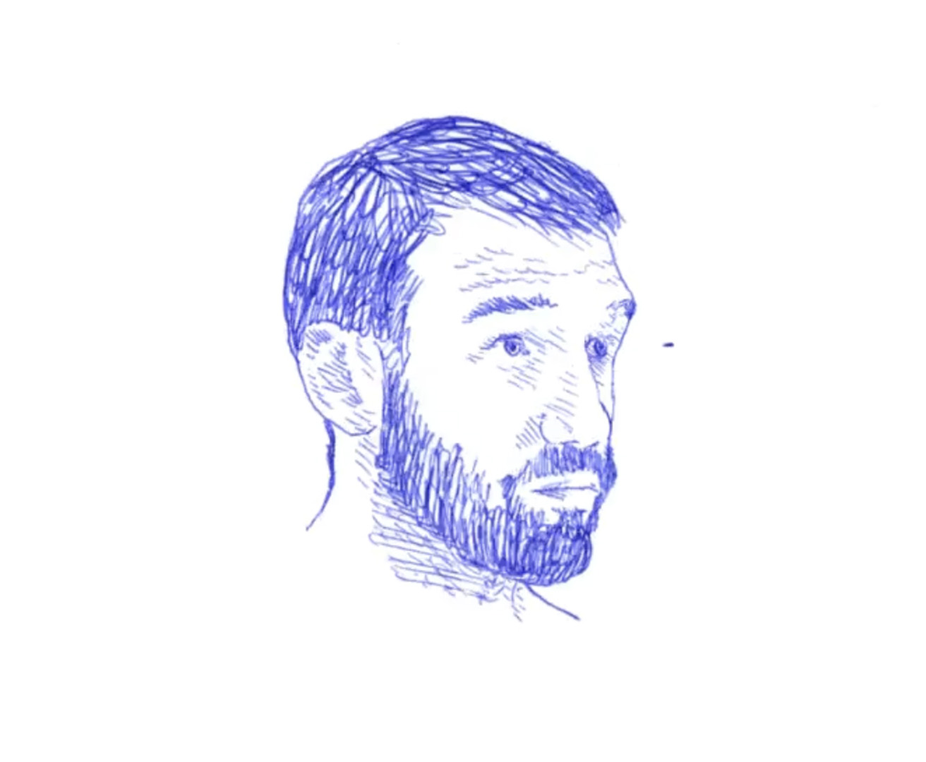 LES GARÇONS BLEUS : 12 PORTRAITS