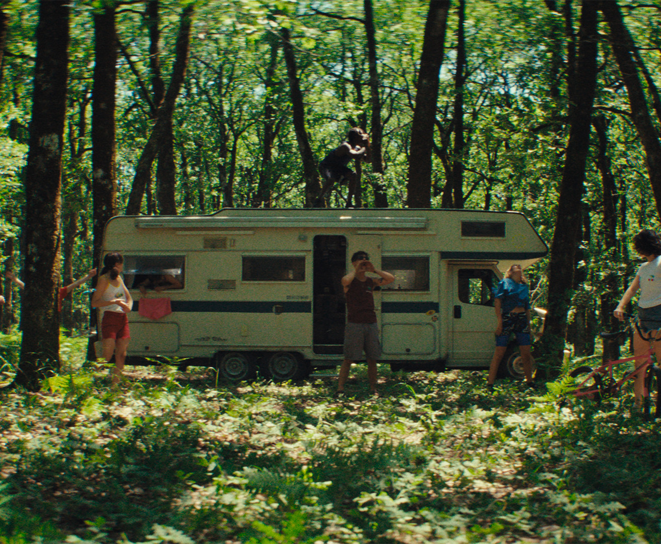 OUR WILDEST DAYS