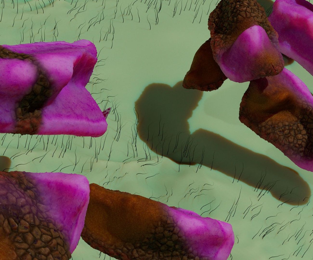 Slugs'n'tongues