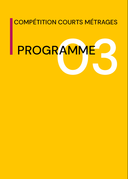 Programme 3