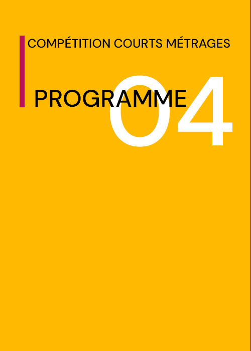 Programme 4