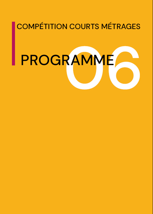 Programme 6