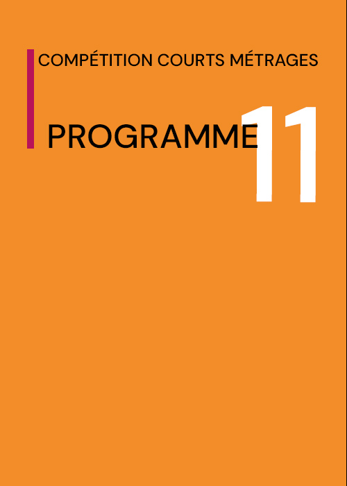 Programme 11