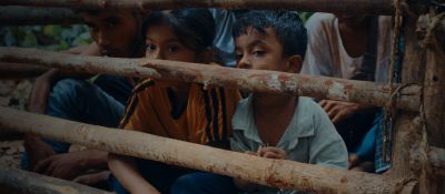 Les Fleurs du manguier