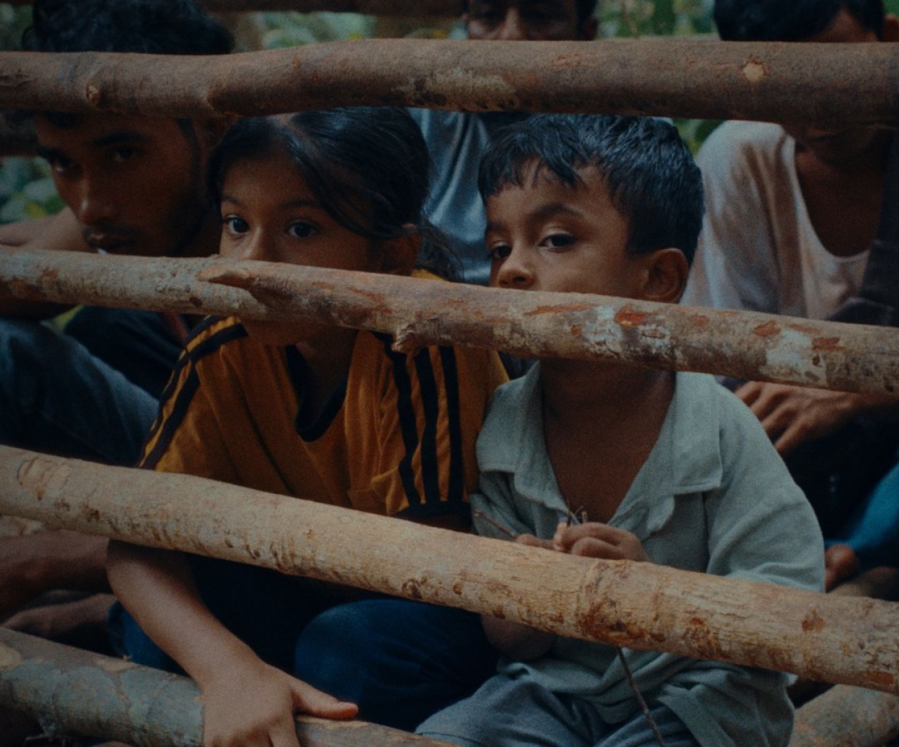 Les Fleurs du manguier