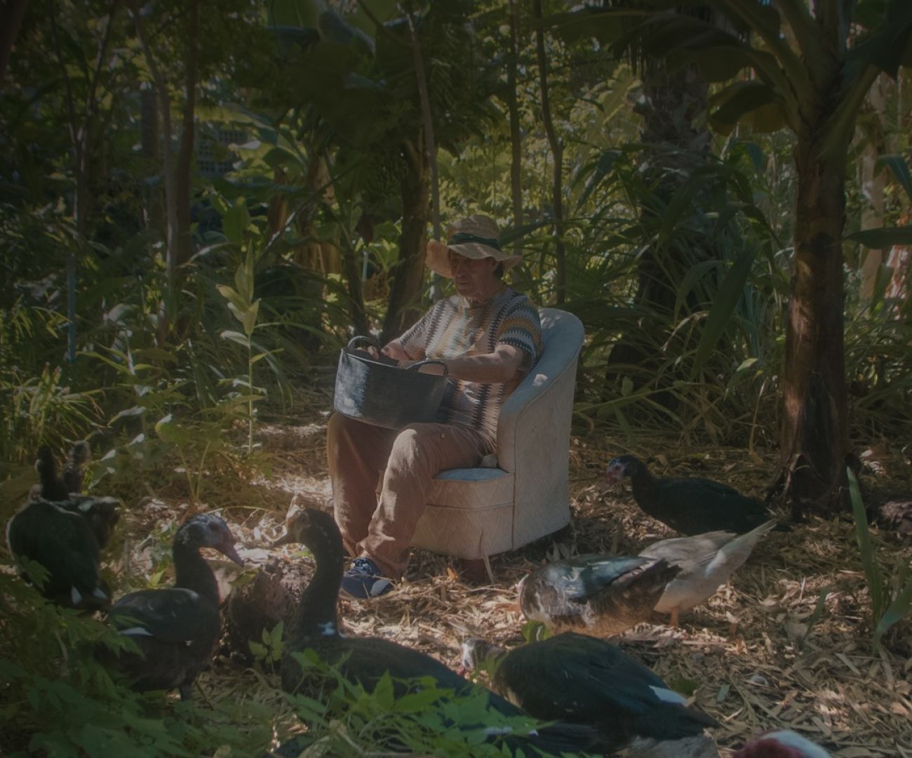 Pedro Tomás Explains the World