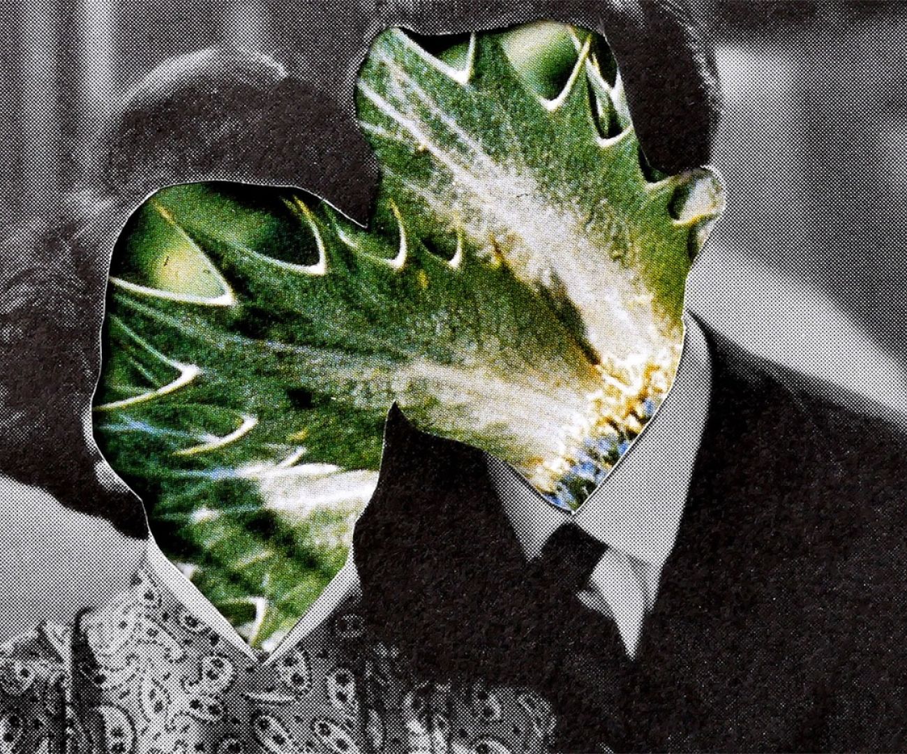 She Dolls with Dollies